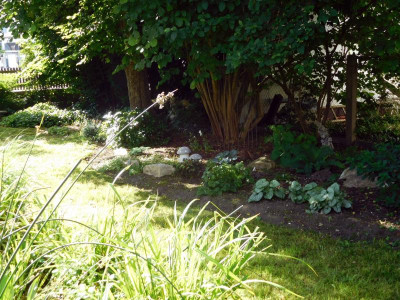 DSCN0812.JPG
