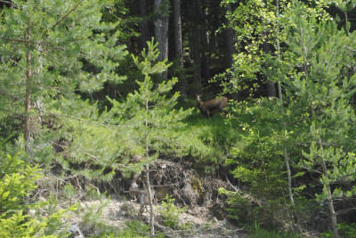 juni 046.jpg