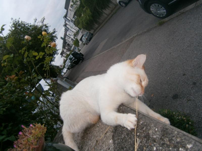P 005.JPG