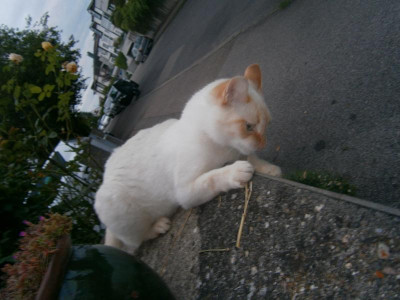 P 006.JPG