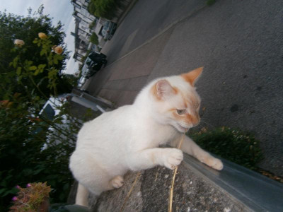 P 007.JPG