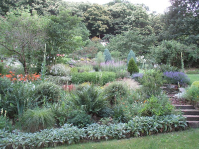 Garten 20160627.jpg