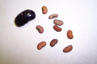 100_3024.jpg