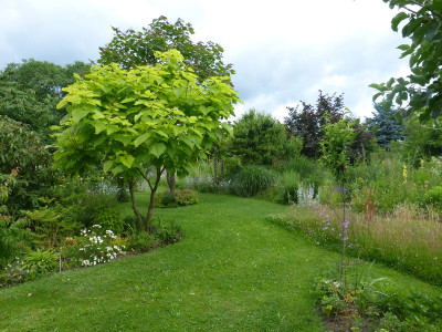 2016-06-29 Garteneinblick 1.jpg