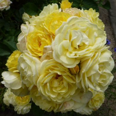 A-P1050094.jpg