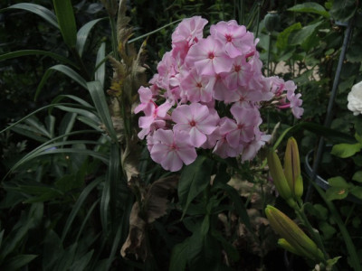DSCN0749_1578.JPG