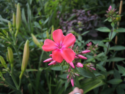 DSCN0763_1579.JPG