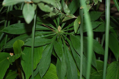 DSC_0473.JPG