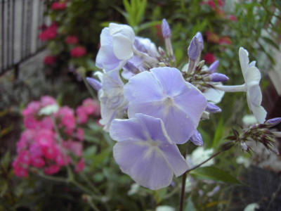 PICT1294.JPG