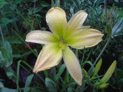 PICT1288.JPG