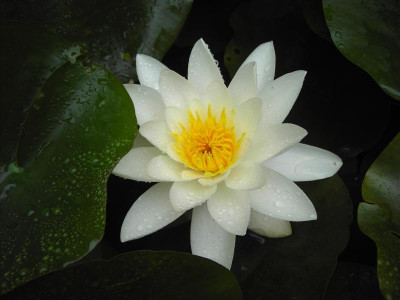 PICT1291.JPG