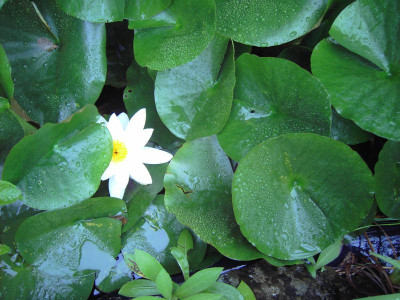 PICT1293.JPG