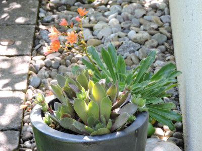 DSCN4489.JPG