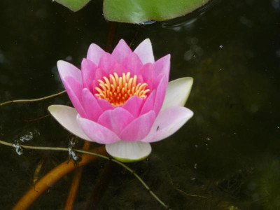 P1200586.JPG