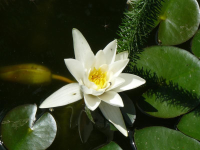 P1200584.JPG