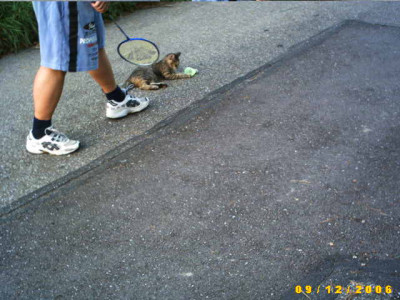 2006_0914Bild0005.JPG