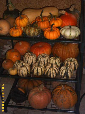 2006_1006Bild0002.JPG