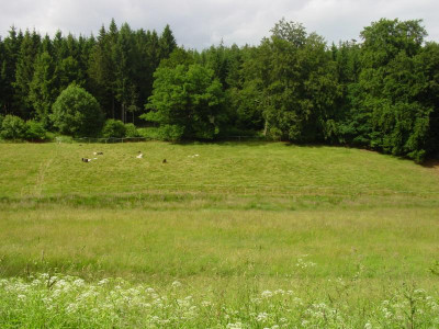 Wohlkopfende2016.JPG