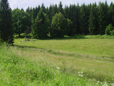 Wohlkopfsturmfichte.JPG