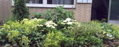 0207-7.jpg