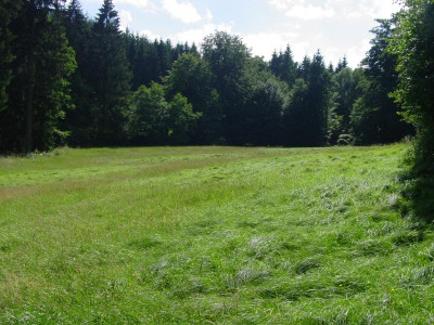 wohlkopfsegnach2016.JPG