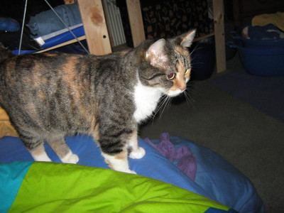 augnov09 322.jpg