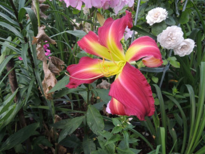 DSCN0787_1583.JPG