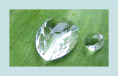 TROPFEN_SA_0710_RI.jpg