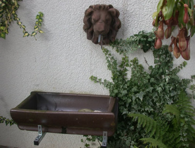 DSCN0111_Lowenkopf_und_Schweinetrog_.jpg