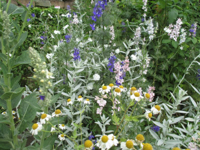 Blackboxgardening 20160704.jpg
