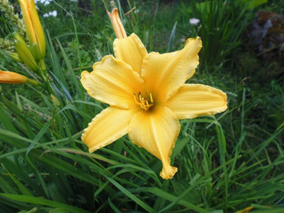 P1020141.JPG