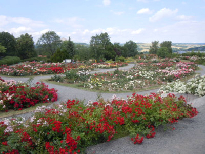 sangerhausen 002.JPG