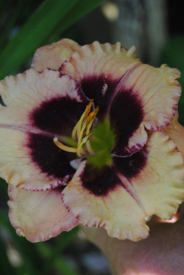 juni 055.jpg