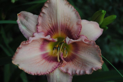 juni 083.jpg
