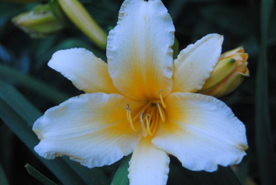 juni 098.jpg