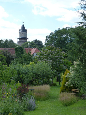 2016-07-07 Garteneinblick.jpg