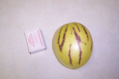 100_3040.jpg