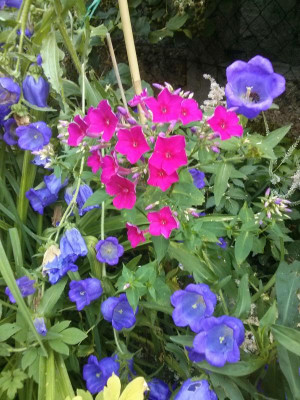 IMG_20160708_185431.jpg