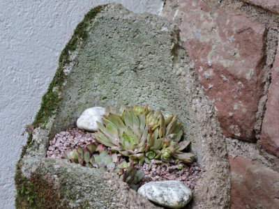 DSCN5149.JPG