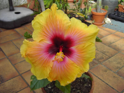 PICT1351.JPG