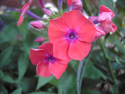 PICT1359.JPG