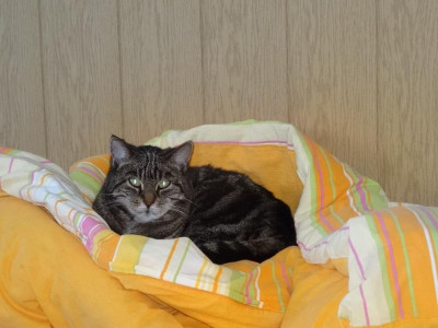 liese01.JPG