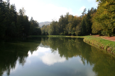 Diebstein-11.jpg