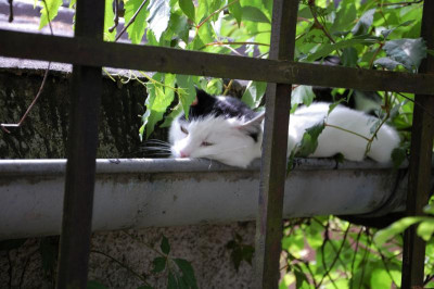 DSC_6592.jpg