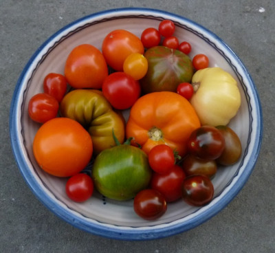 ernte_160710.jpg
