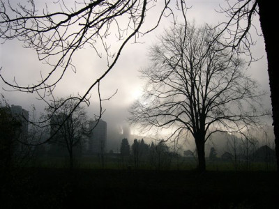 November__015.jpg