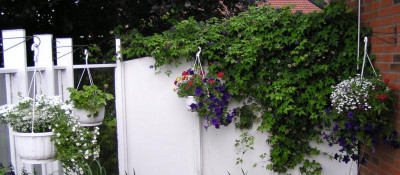 Ampeln_ Juli2016.jpg