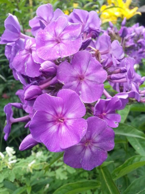 20160712_081940.jpg