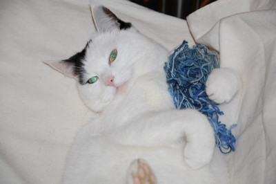 DSC_5998.JPG