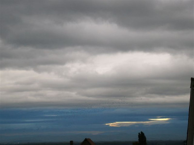 M1_029.jpg
